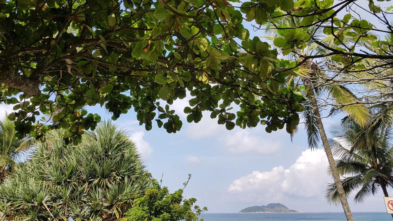 Frente Pro Mar - B - Do Tombo - Beachfront